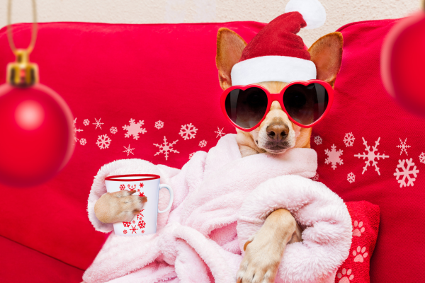 Link to 7 Tips to Sleigh Your Holiday Budget