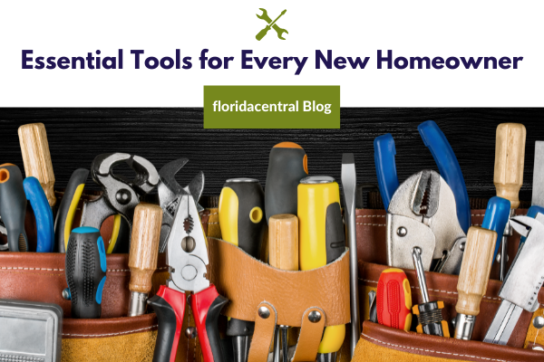 Link to Essential Tools for Every New Homeowner