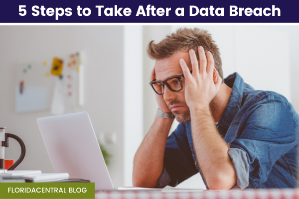 Link to 5 Steps to Take After a Data Breach
