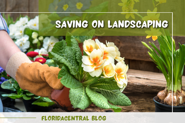 Link to Saving on Landscaping